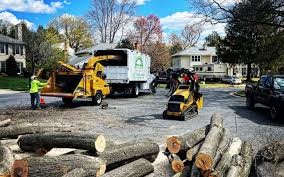 Best Seasonal Cleanup (Spring/Fall)  in San Francisco, CA